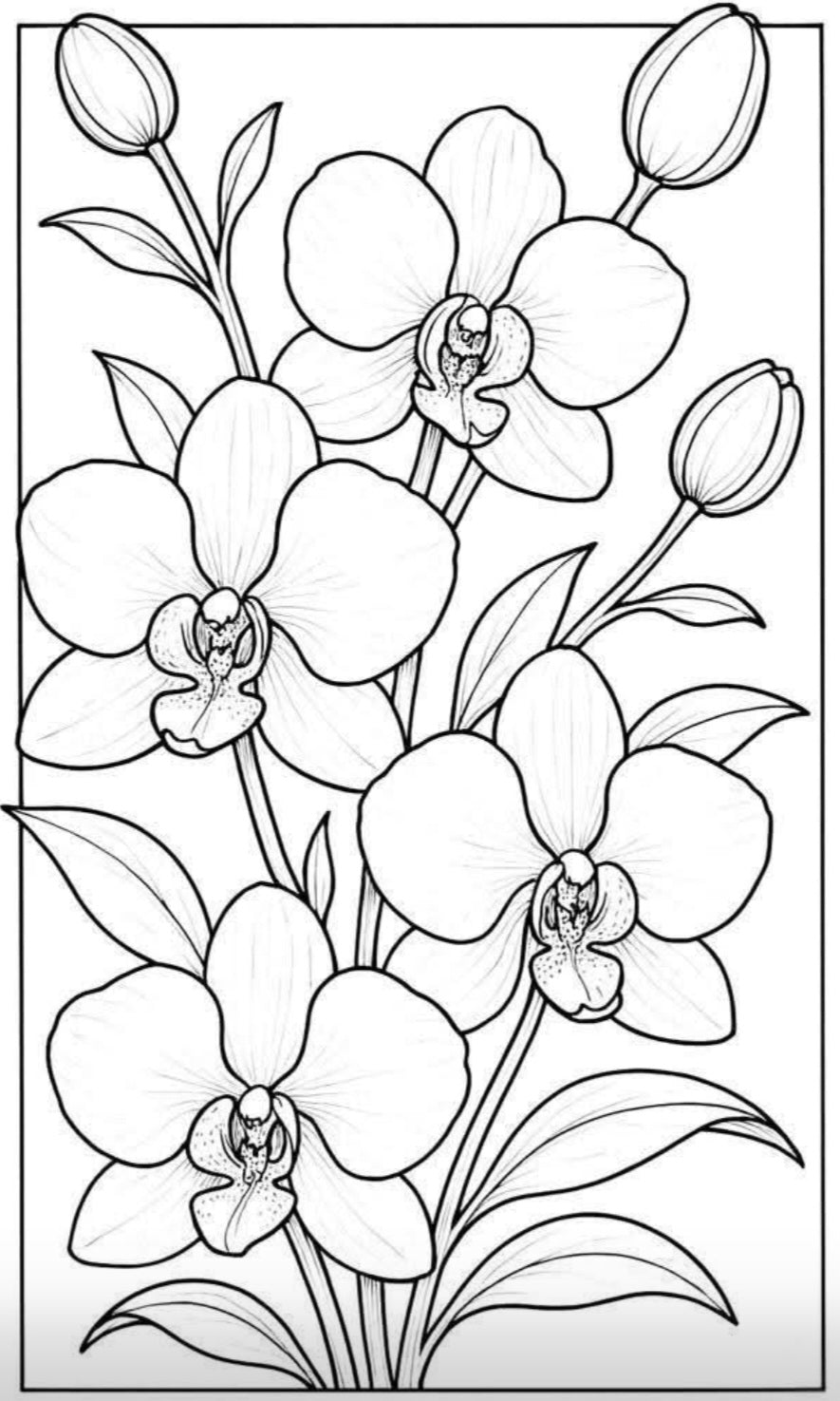Painting Art Kit - Pink Orchids, on 11in x 14in stretched canvas with wood easel