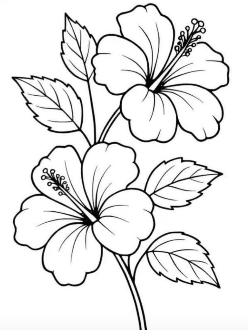 Painting Art Kit - Pink Hibiscus flower, on 8in x 10in canvas board