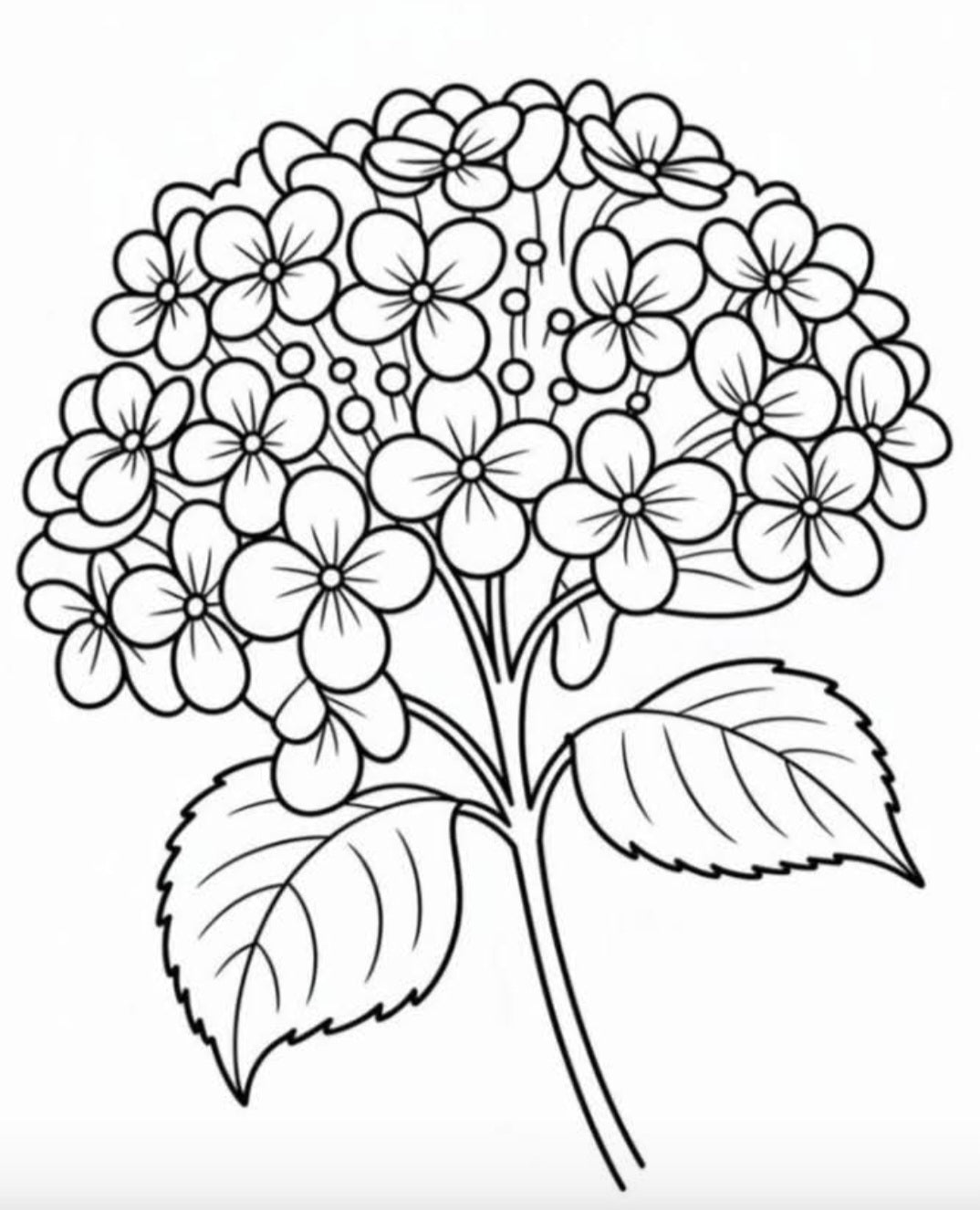 Painting Art Kit - Hydrangea flower, on 8in x 10in canvas board