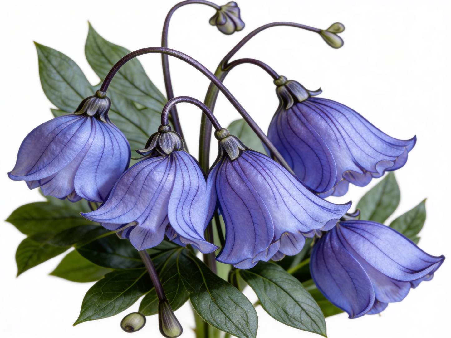 Painting Art Kit - Bluebell flower, on 8in x 10in canvas board